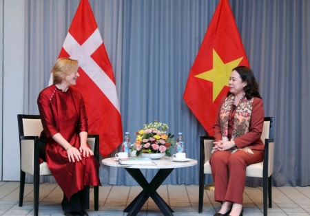 Phó Chủ tịch nước Võ Thị Ánh Xuân tiếp Hội hữu nghị Đan Mạch - Việt Nam