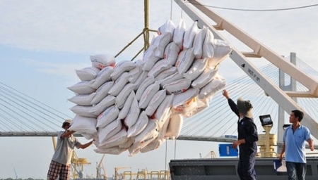 Tin tức kinh tế ngày 21/11: Giá gạo xuất khẩu “nóng” trở lại
