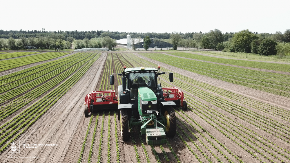 Kinh nghiệm làm nông nghiệp sạch từ Đan Mạch