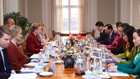 Phó Chủ tịch nước Võ Thị Ánh Xuân hội đàm với Thủ tướng Đan Mạch Mette Frederiksen
