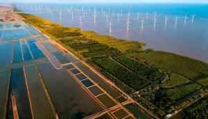 Quảng bá hình ảnh ứng phó với biến đổi khí hậu của Việt Nam ra thế giới