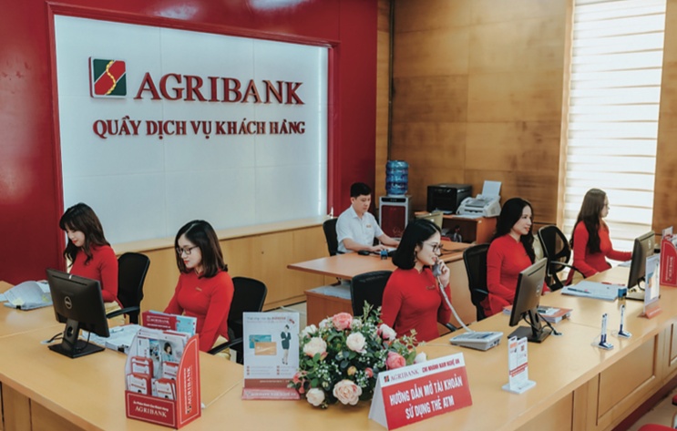 Yêu cầu giải quyết khó khăn, vướng mắc liên quan đến việc cổ phần hóa Agribank