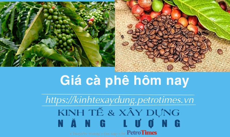 Giá cà phê hôm nay 2/12: Tiếp đà tăng