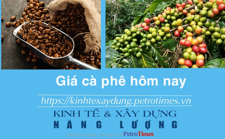 Giá cà phê hôm nay 3/12: Thị trường trong nước đảo chiều giảm