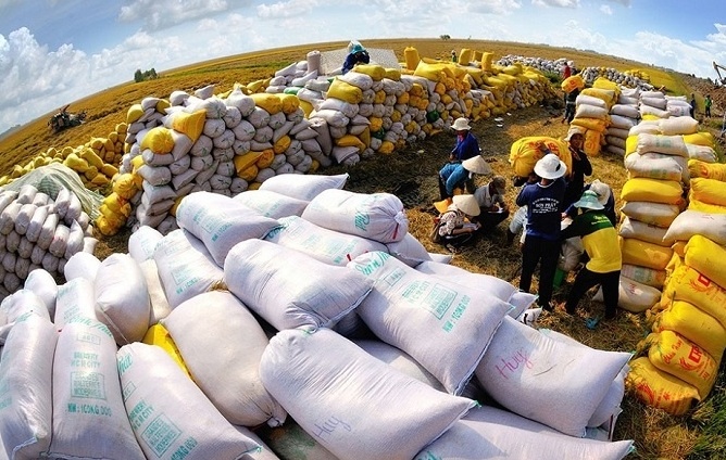 Tin tức kinh tế ngày 3/12: Việt Nam là thị trường xuất khẩu gạo lớn nhất vào Trung Quốc