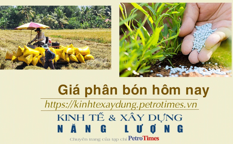Giá phân bón hôm nay 5/12: Kali Israel bột đỏ giảm