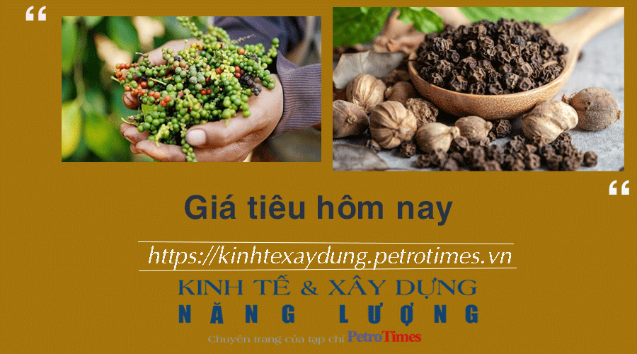 Giá tiêu hôm nay 5/12: Việt Nam là nhà cung cấp Hồ Tiêu lớn cho EU