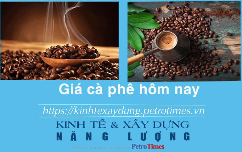 Giá cà phê hôm nay 6/12: Thị trường trong nước quay đầu giảm