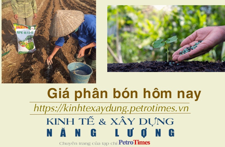 Tin nhanh chứng khoán ngày 6/12: Nhóm thủy sản dẫn dắt, VN Index lấy lại đà tăng