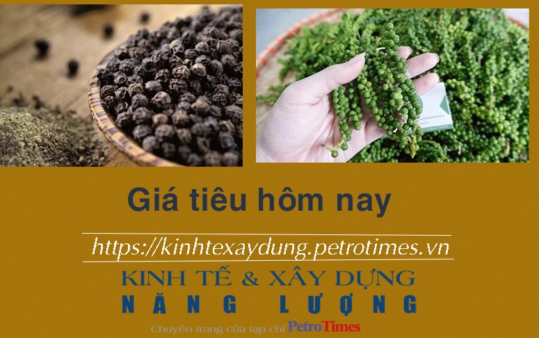Tin nhanh chứng khoán ngày 6/12: Nhóm thủy sản dẫn dắt, VN Index lấy lại đà tăng
