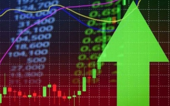 Tin nhanh chứng khoán ngày 6/12: Nhóm thủy sản dẫn dắt, VN Index lấy lại đà tăng