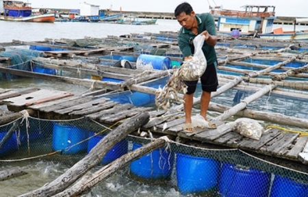 Tin nhanh chứng khoán ngày 6/12: Nhóm thủy sản dẫn dắt, VN Index lấy lại đà tăng