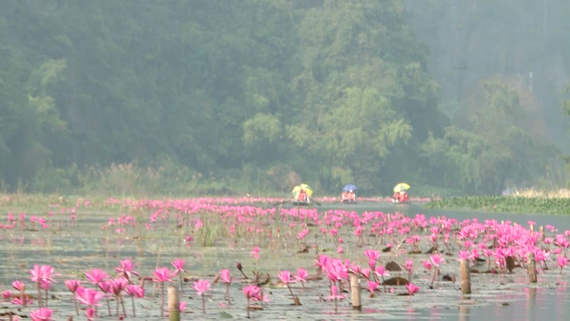 Ninh Bình: Bảo tồn giá trị hệ sinh thái, cảnh quan sông Ngô Đồng