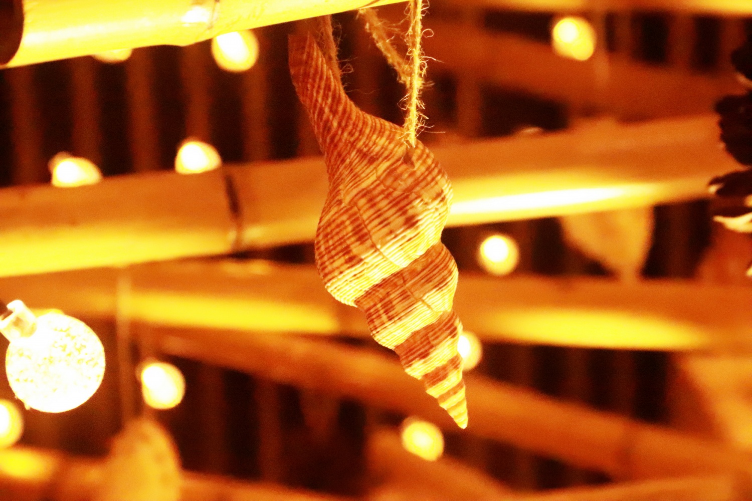 Nha Trang: Khách sạn Potique thắp sáng cây thông Noel kết hợp gây quỹ từ thiện
