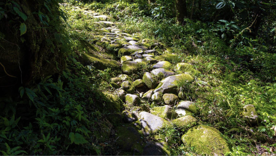 Đường đá cổ Pavie: Trầm tích giữa núi rừng Hoàng Liên