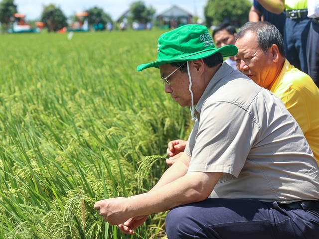 Thông điệp của Thủ tướng Phạm Minh Chính tại Festival quốc tế ngành hàng lúa gạo- Ảnh 2.