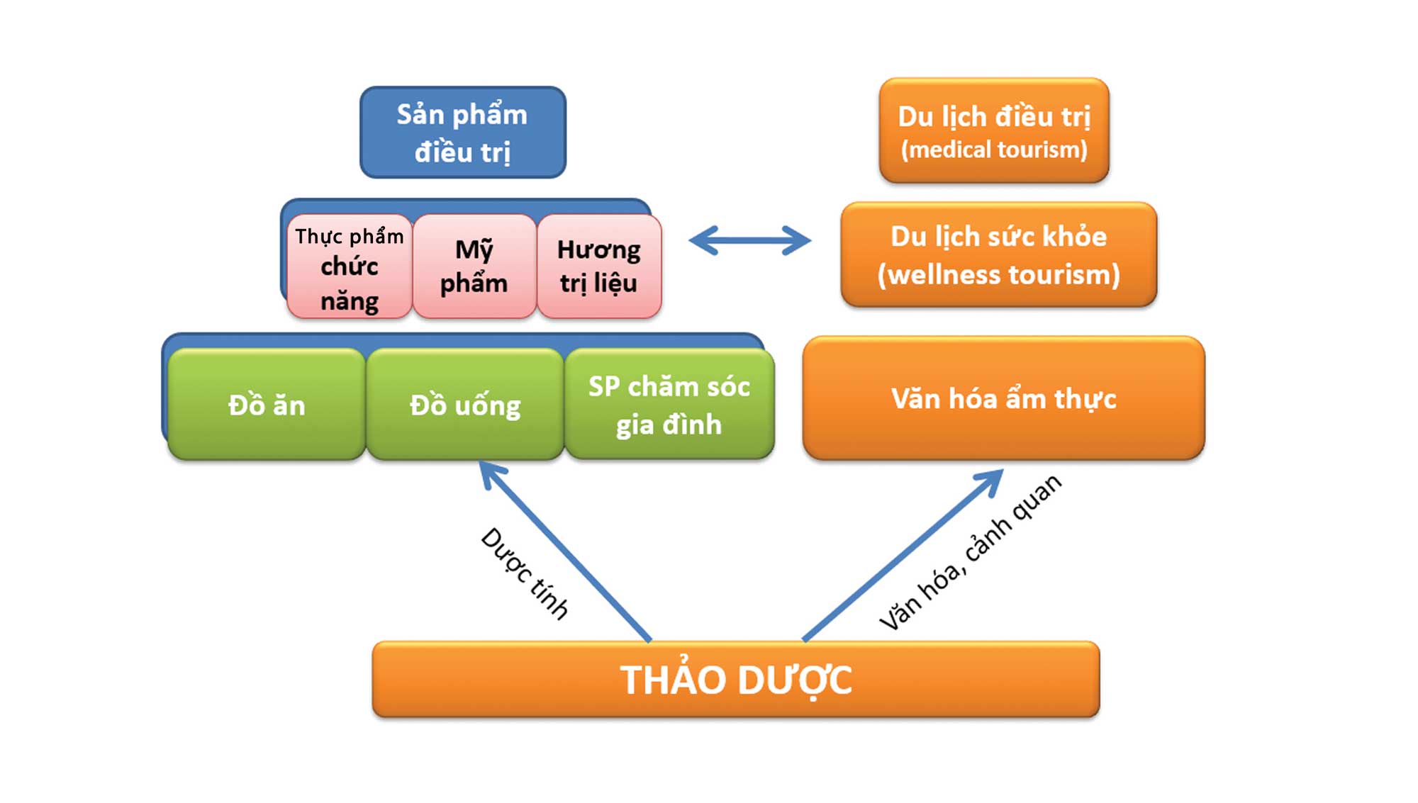 Kinh tế thảo dược - Hướng tiếp cận để phát triển dược liệu ở Việt Nam