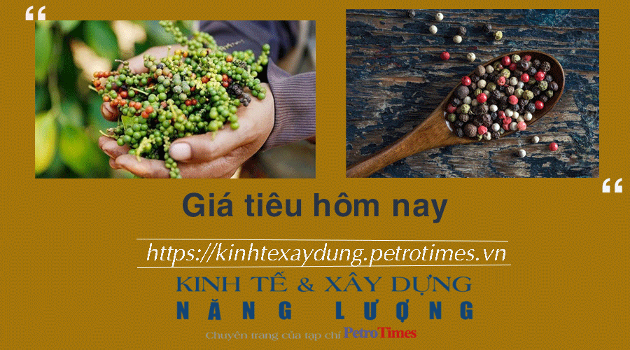 Giá tiêu hôm nay 25/12: Tăng 1.000 đồng tại Tây Nguyên