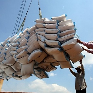 Tin tức kinh tế ngày 25/12: Giá gạo Việt Nam đạt mức cao nhất trong vòng hơn 15 năm qua