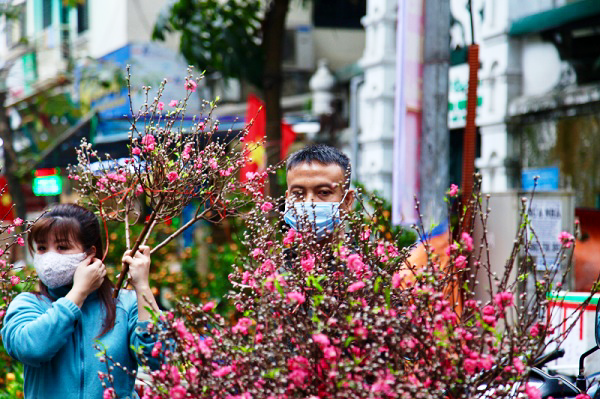 Hà Nội tổ chức 83 chợ hoa phục vụ Tết Nguyên đán Giáp Thìn 2024