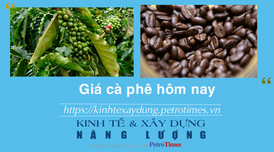 Giá cà phê hôm nay 1/1: Cao nhất ở mức 68.200 đồng/kg