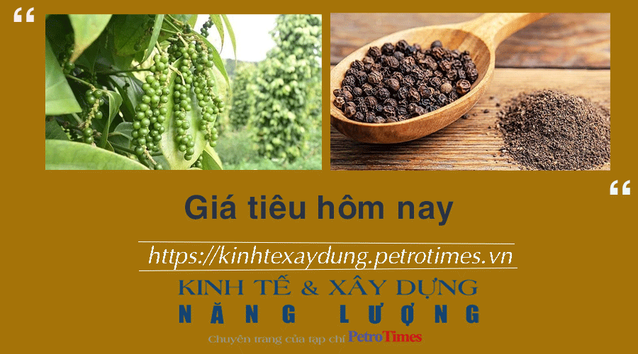 Giá tiêu hôm nay 2/1: Thị trường trong nước lặng sóng