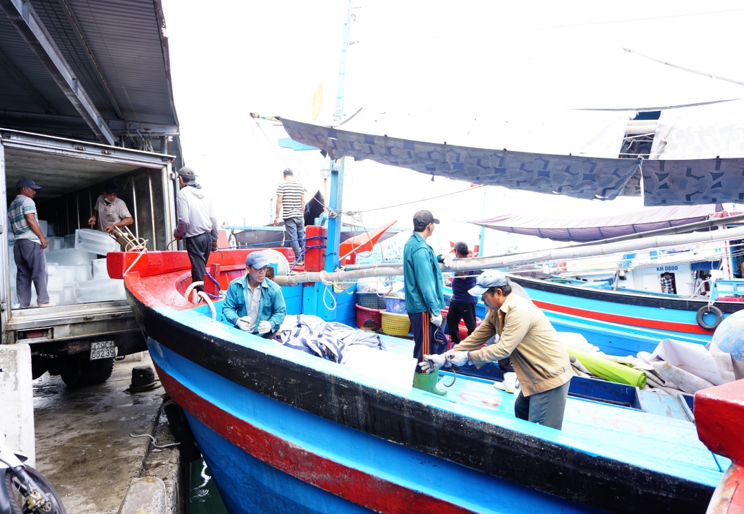 Khánh Hòa: Vào mùa săn cá ngừ đại dương