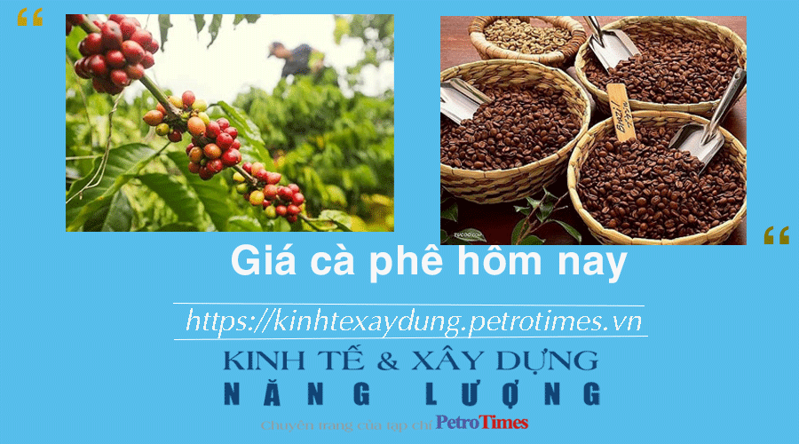 Giá cà phê hôm nay 5/1: Trong nước tiếp tục giảm