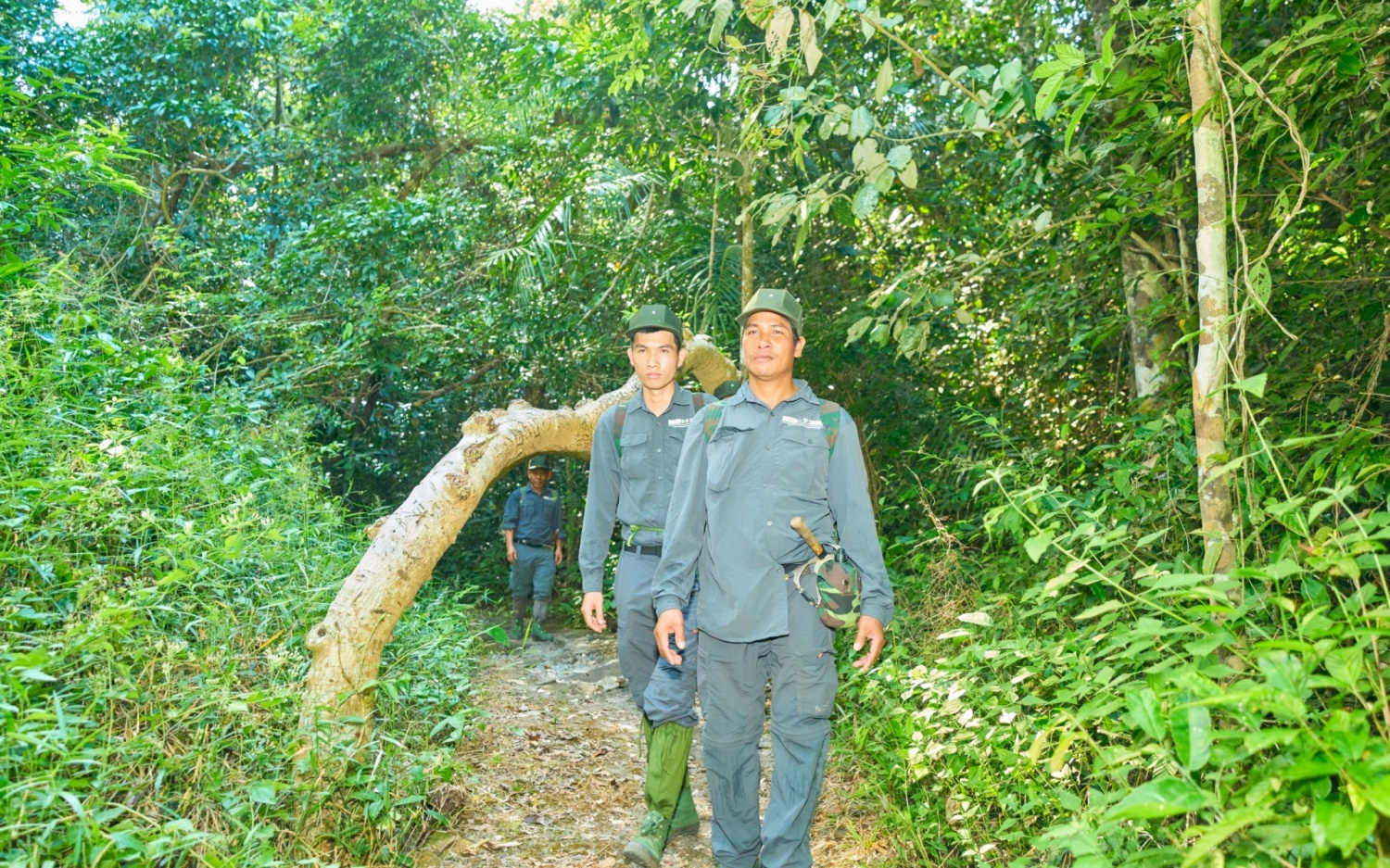 Về Vườn quốc gia Cát Tiên khám phá thiên nhiên hoang dã