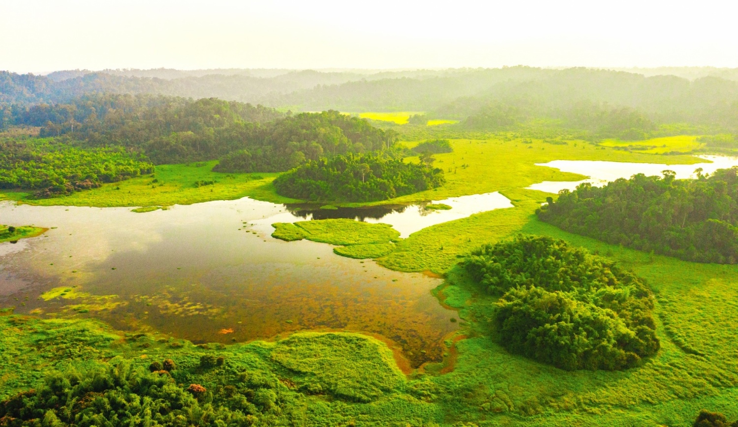 Về Vườn quốc gia Cát Tiên khám phá thiên nhiên hoang dã