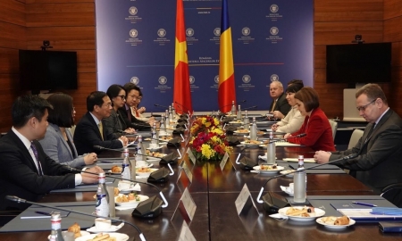 Trao đổi các biện pháp thúc đẩy quan hệ Việt Nam - Romania, Việt Nam - Hungary