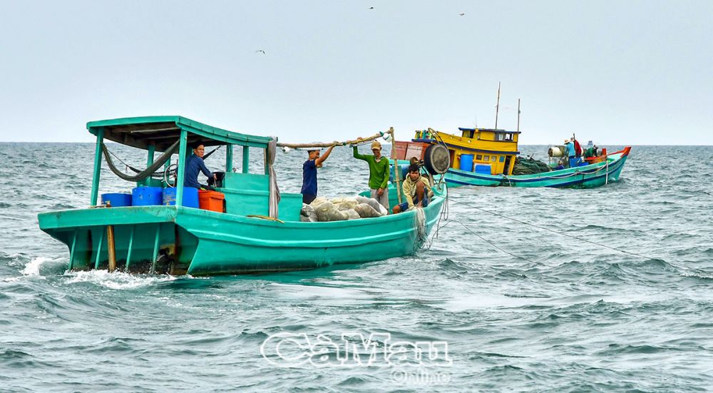 Cà Mau: Tranh chấp ngư trường và bài học quản lý khai thác trên biển