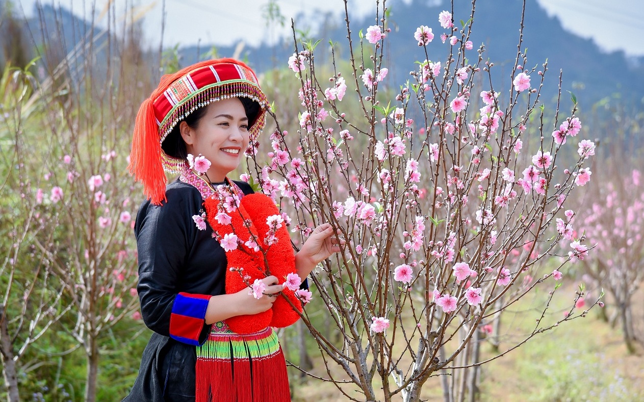 Lễ hội Hoa đào Xứ Lạng năm 2024: Không gian văn hóa đặc sắc dịp đầu xuân