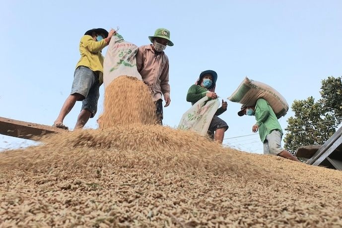 Gạo, thuốc lá nhập khẩu từ Campuchia được hưởng thuế nhập khẩu ưu đãi đặc biệt