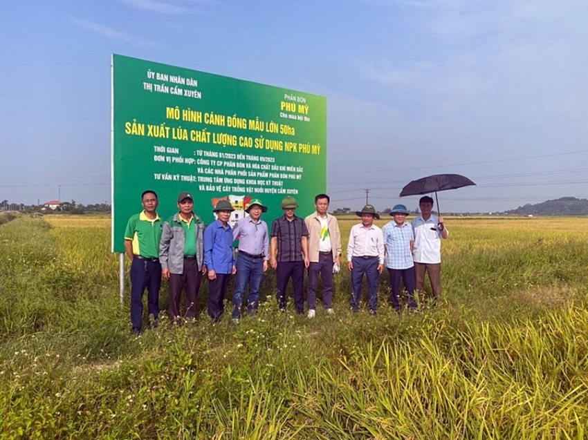 PVFCCo - Vững vàng sứ mệnh vì nông nghiệp Việt