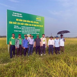 PVFCCo - Vững vàng sứ mệnh vì nông nghiệp Việt