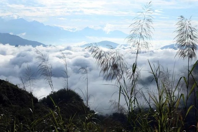 Lai Châu: Ngắm nhìn biển mây vô tận từ đỉnh Lao Tỷ Phùng