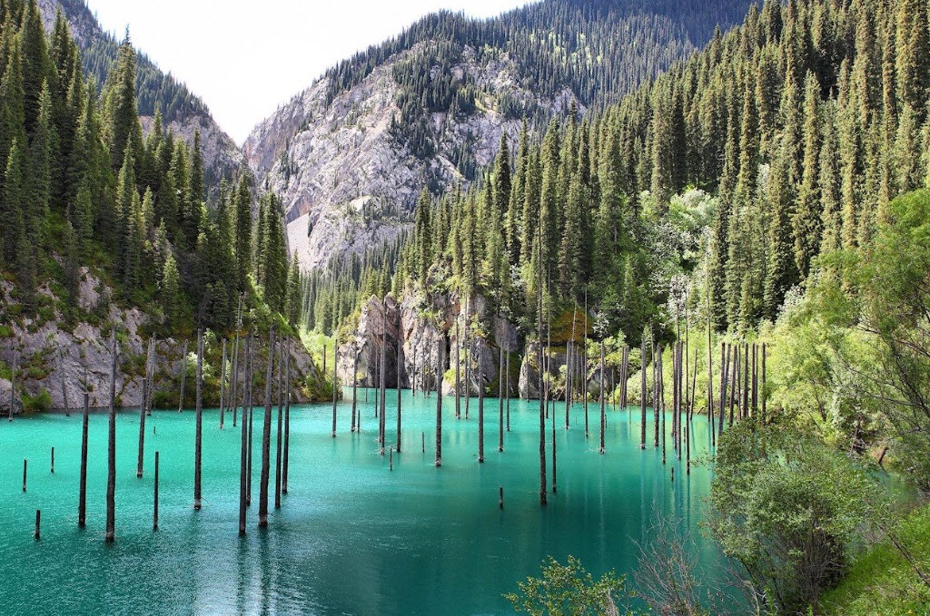 Khám phá khu rừng bí ẩn chìm dưới hồ nước ở Kazakhstan