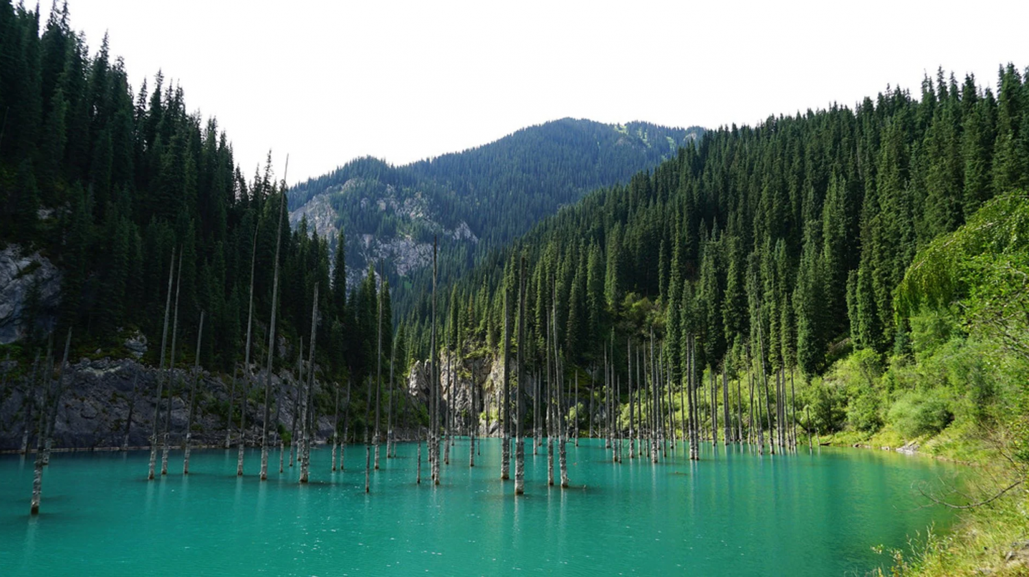 Khám phá khu rừng bí ẩn chìm dưới hồ nước ở Kazakhstan