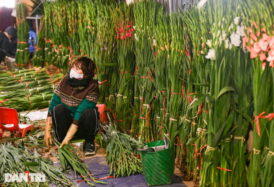 Chợ hoa lớn nhất ở Hà Nội họp xuyên đêm trong giá lạnh dưới 10 độ C