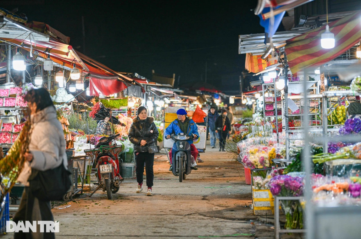 Chợ hoa lớn nhất ở Hà Nội họp xuyên đêm trong giá lạnh dưới 10 độ C
