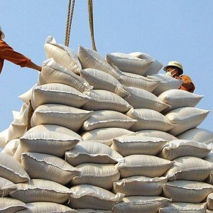 Tin tức kinh tế ngày 29/1: Giá gạo xuất khẩu của Việt Nam giảm mạnh