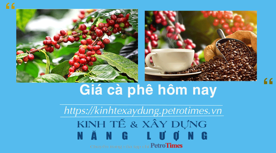 Giá cà phê hôm nay 3/2: Robusta giảm sâu sau chuỗi ngày tăng cao