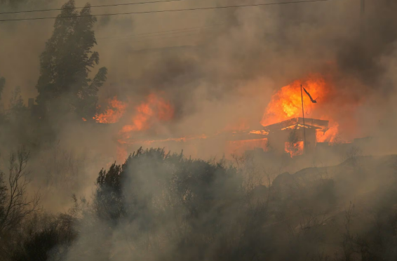 Vụ cháy rừng kinh hoàng nhất trong lịch sử gần đây của Chile