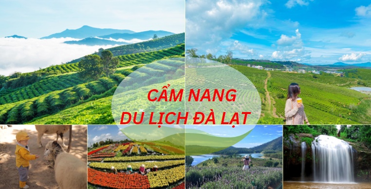 Cẩm nang du lịch Đà Lạt