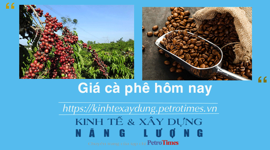 Giá cà phê hôm nay 8/2: Arabica chấm dứt đà giảm