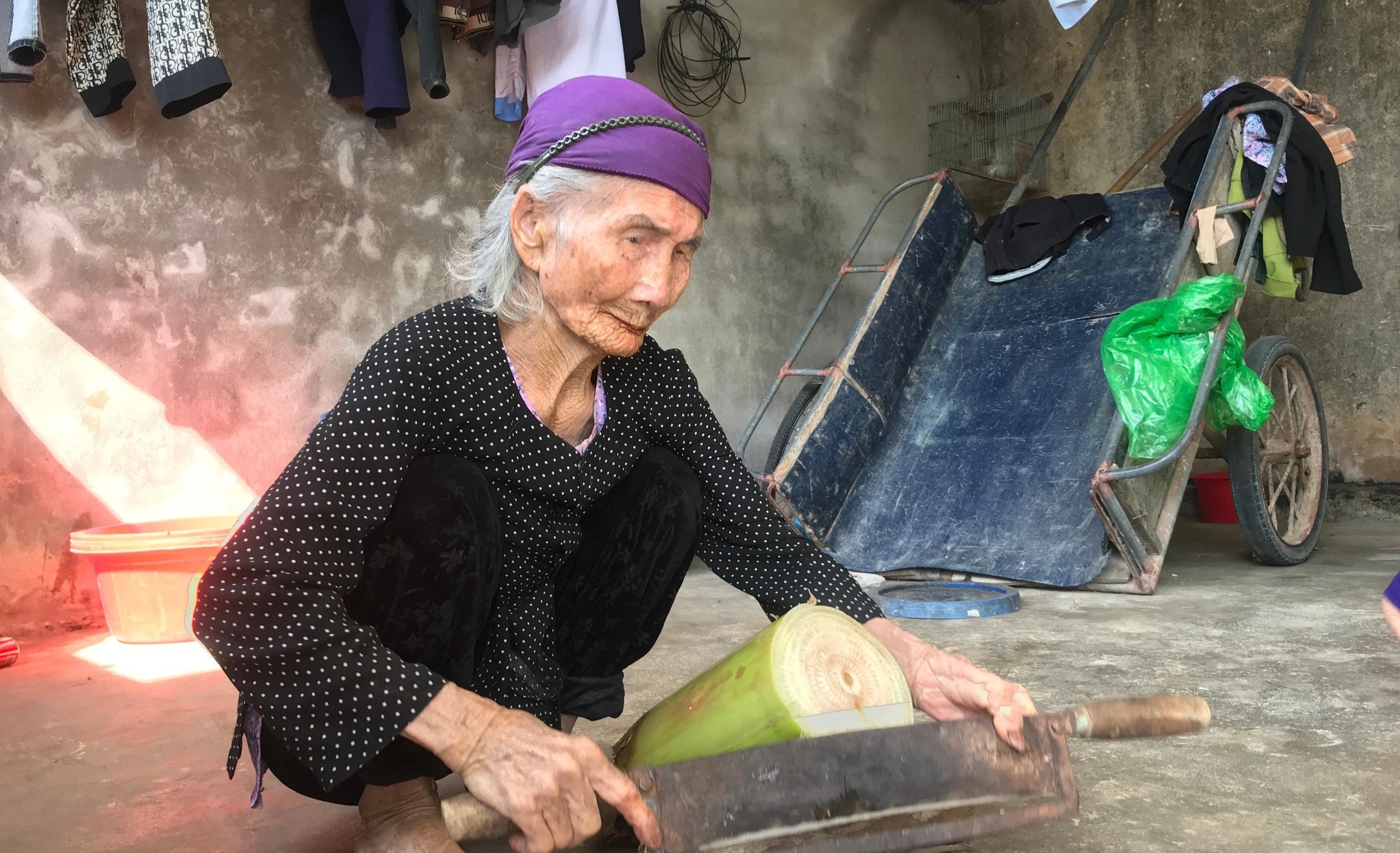 Ngôi làng trường thọ ở Nghệ An: Cụ bà 106 tuổi vẫn thái rau cho gà, vịt