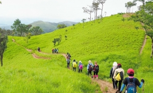 Tà Năng - Phan Dũng, cung đường trekking đẹp nhất Việt Nam
