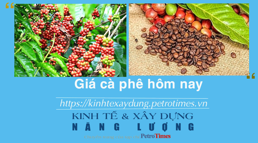 Giá cà phê hôm nay 14/2: Thị trường trong nước giảm nhẹ