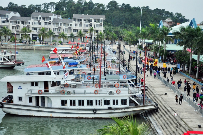 Chính thức thu phí tàu khách du lịch quốc tế hoạt động tại các cảng biển Việt Nam